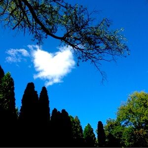 Hi there and welcome 😊